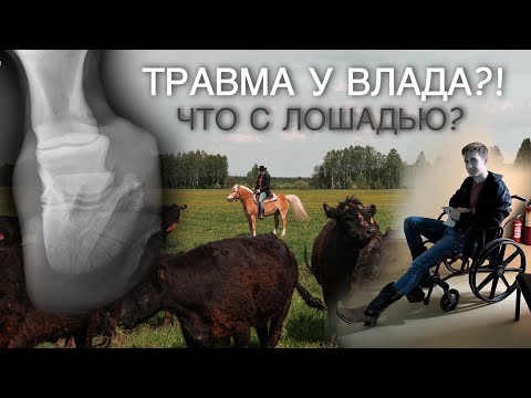Видео: МЫ БЫЛИ КОВБОЯМИ, А ПОТОМ…