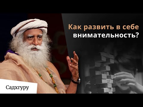 Видео: Страсть — ключ к сфокусированной жизни