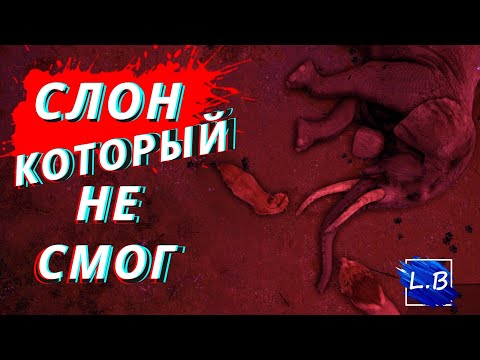 Видео: Animalia Survival ИГРАЕМ ЗА ЛЬВИЦУ!ДВА НОСОРОГА ЗАГНАЛИ МЕНЯ НА ДЕРЕВО!ПОСЛЕДНЯЯ НОЧЬ  СЛОНА 3 СЕРИЯ