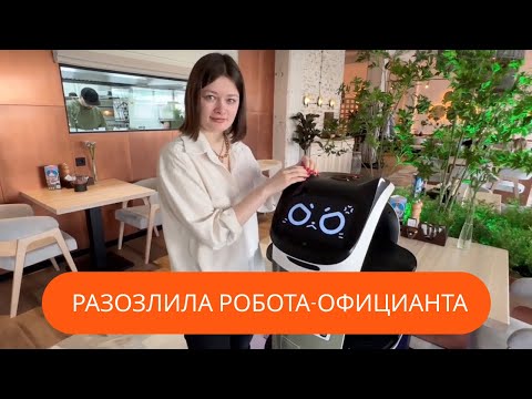 Видео: Робот официант Котик Белла – Палки Скалки в Костроме