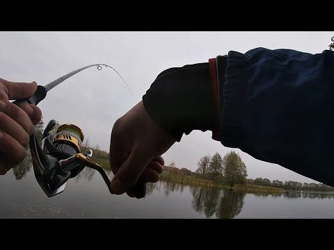 Видео: Ловля судака на джиг осенью. Только я поставил тиогу и тут ТЫДЫЩ!