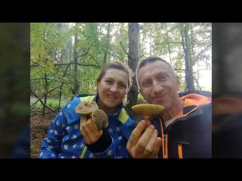 Видео: Грибы в Венгрии, болталки гулялки.