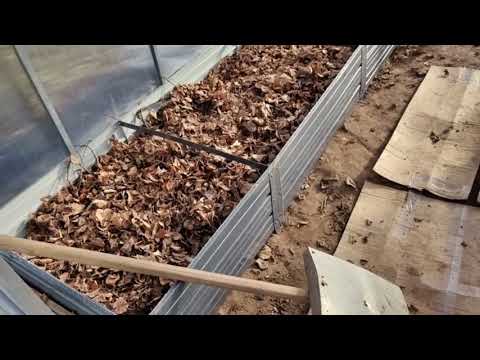 Видео: Завершаем дачный сезон 2025