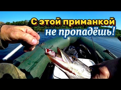 Видео: Эта приманка сделала всю рыбалку! Ловля щуки на спиннинг.