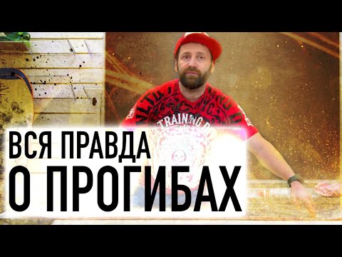 Видео: Прогибы сноубордов без маркетинга - полная версия. Шкала - стабильность и манёвренность.