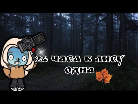 Видео: ⏱️ 24 ЧАСА 🌳 В ЛЕСУ 🌳 ОДНА😓 #токабока #рекомендации