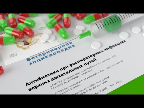 Видео: Антибиотики при респираторных инфекциях верхних дыхательных путей