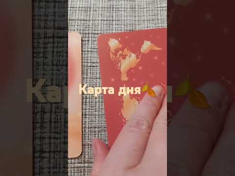 Видео: Карта дня🍂