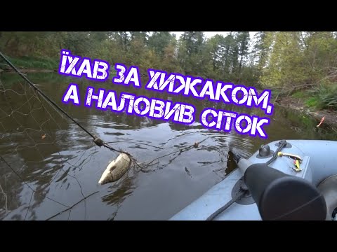 Видео: ЇХАВ ЗА ХИЖАКОМ, А НАЛОВИВ СІТОК. Риболовля на спінінг восени