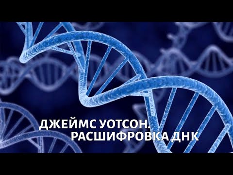 Видео: Расшифровка ДНК. Вопросы выживания