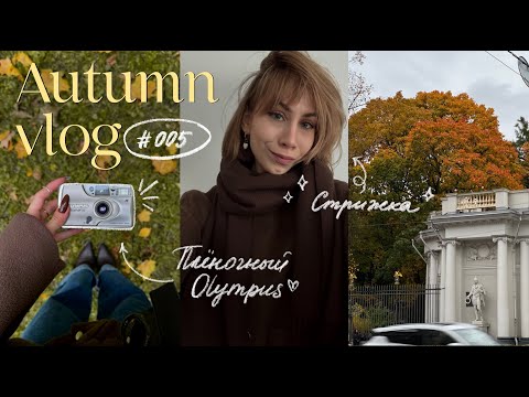 Видео: ОСЕННИЙ ВЛОГ 🍂🤎 исполнила мечту и купила Olympus, СТРИЖКА и обновление