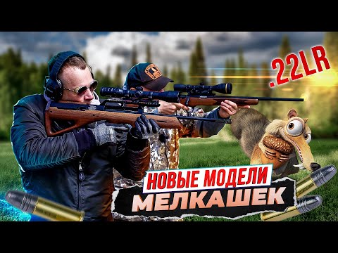 Видео: Мелкашки. Очень нужный калибр .22 LR. Как попасть белке в глаз. Самые интересные новинки 2023 года.