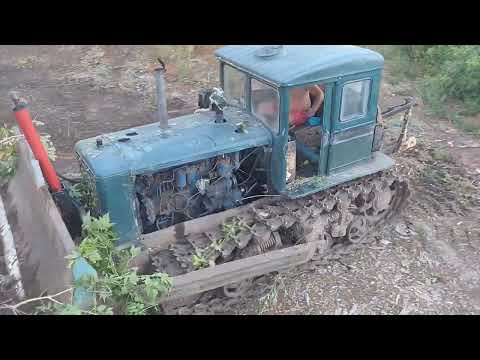 Видео: т-74 🇺🇦 чистка кущів#bulldozer #machine #farming #automobile