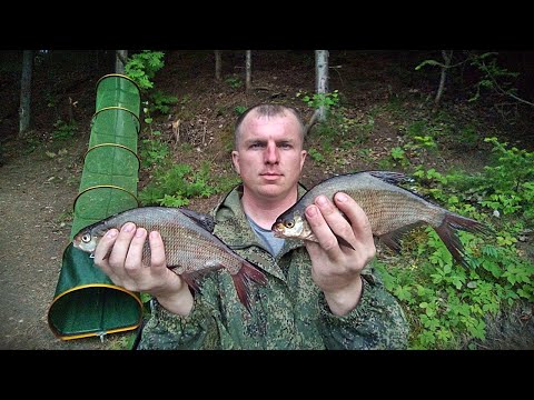 Видео: ЛЕЩ НА ДОНКИ,ОСНАСТКА УЛОВИСТОГО МОНТАЖА/ОДИН С НОЧЁВКОЙ НА ЛЕСНОЙ РЕКЕ/ЖАРЮ СТЕЙК С КАРТОШКОЙ...