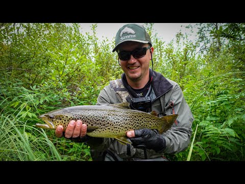 Видео: КОЛЬСКИЙ - КУМЖАТУР ‘23 🎣  часть  lV “Эльдорадо Юрича 🔥 Лучшая рыбалка '23 🏆”