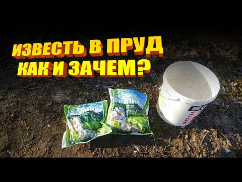 Видео: Известь в пруд: как и зачем?