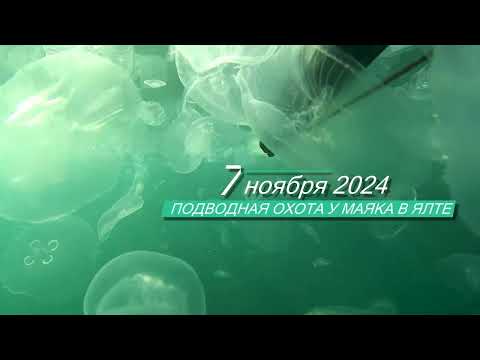 Видео: Подводная охота в Ялте 7.11.2024