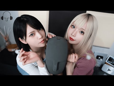 Видео: 【Принц Поньо и KURU】Чистка ушей【ASMR / 4K】