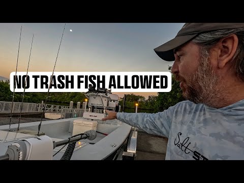 Видео: Отличная форель и трёххвостый лещ во время обкатки новой лодки [микро-лодка]