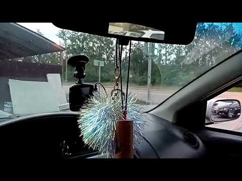 Видео: 291📣📣📣Поедем, поглядим! 🧐🕵️‍♂️Поглядеть есть на что😊🔥📣📣📣