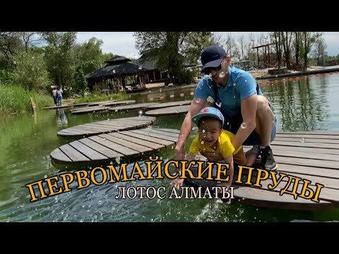 Видео: ПЕРВОМАЙСКИЕ ПРУДЫ || ГРЕБЛЯ НА ДОСКЕ СТОЯ || ЛОТОС АЛМАТЫ || ВЛОГ АЛМАТЫ