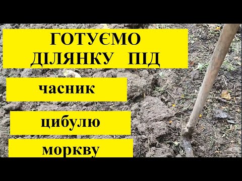 Видео: ГОТОТУЄМО  ГРУНТ  ДЛЯ  ПОСАДКИ  ЧАСНИКА  І  ЦИБУЛІ  ПІД  ЗИМУ