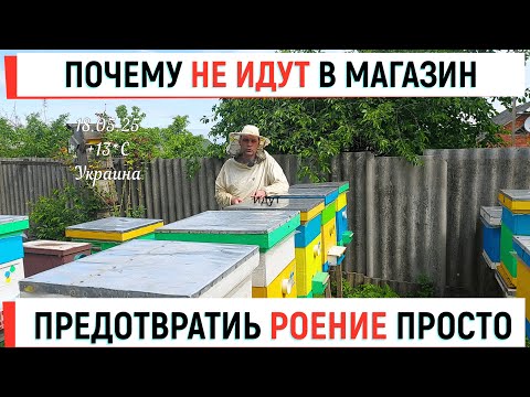 Видео: Почему не идут в магазин? Предотвращаем роение просто!