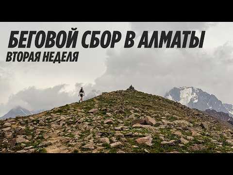 Видео: Горный беговой сбор в Алматы: объемы растут, ноги бегут | НЕДЕЛЯ 2