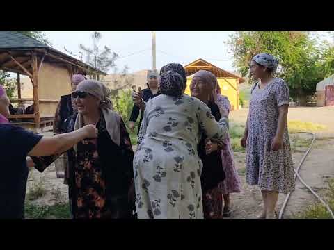 Видео: Шамалды-Сай Кошуналар