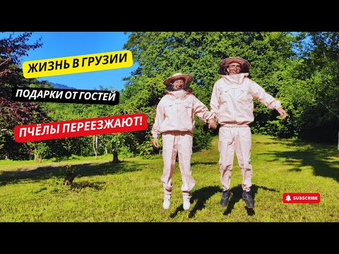 Видео: #34 ЖИЗНЬ в ГРУЗИНСКОЙ ДЕРЕВНЕ — УЛЕЙ, КЛУБНИКА и неожиданные ГОСТИ