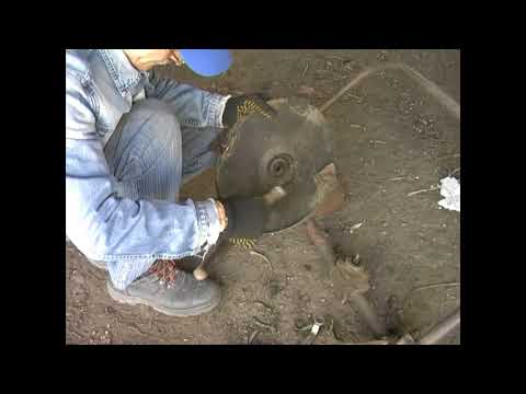 Видео: Косилка Заря, замена ножей - сегментов