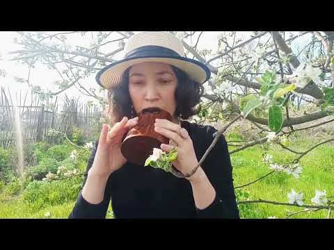 Видео: Двухкамерная окарина / Double Ocarina