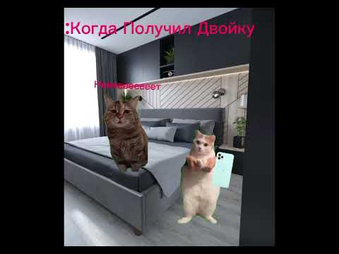 Видео: Моё первое видео с фотошопными котиками! Ну как?