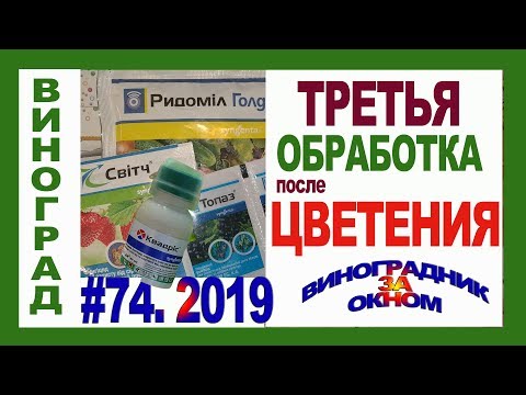 Видео: 🍇 Цветение ПРОШЛО. Третья ОСНОВНАЯ  обработка винограда от болезней и вредителей. Напоминание.