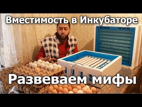 Видео: Закладка яиц в инкубатор Птичий Двор