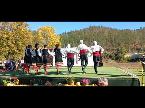 Видео: Ваяшко хоро