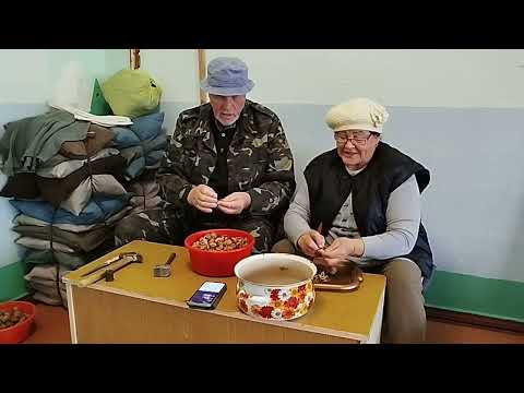 Видео: Ясени