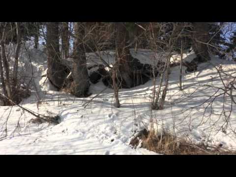 Видео: Чтобы ледобур не обмерзал...