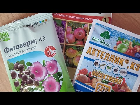 Видео: Эффективная и безопасная обработка фиалок от клеща ! Выбираем препарат и рассчитываем дозу!