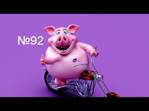 Видео: №92 | Почему прекратил свиноводство.
