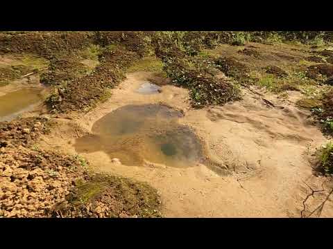 Видео: В реках Сибири исчезает рыба,ответ найден...