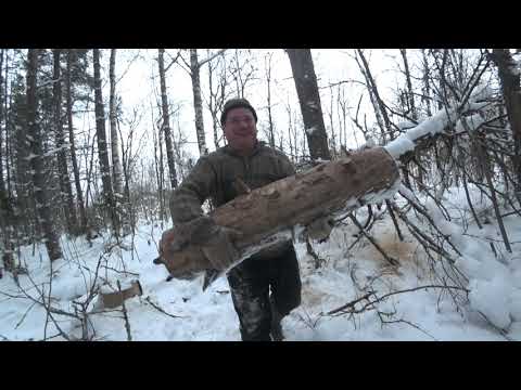 Видео: ЕДЕМ ЗА ВАЛЕЖНИКОМ НА МОТОБУКСИРОВЩИКЕ