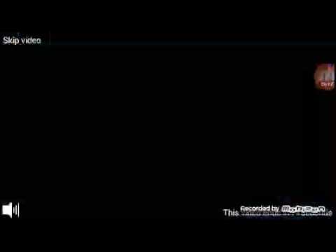 Видео: LIFE OF BLACK TIGER #1 ВОЛКИ...