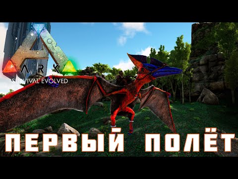 Видео: 🦕 ARK: SURVIVAL EVOLVED ПЕРВЫЙ ПОЛЕТ [прохождение] #6