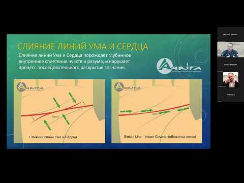 Видео: Особенный характер линии Симиан