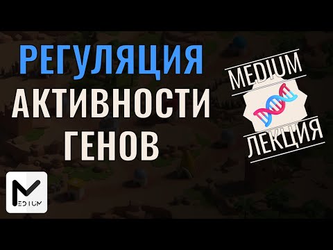 Видео: Регуляция активности генов / ЕГЭ по биологии / Углубленный уровень