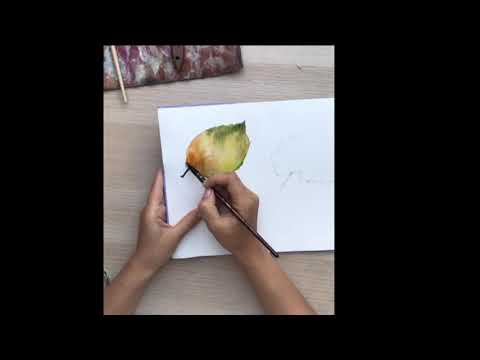 Видео: Приямой эфир ЗАЛИВКИ