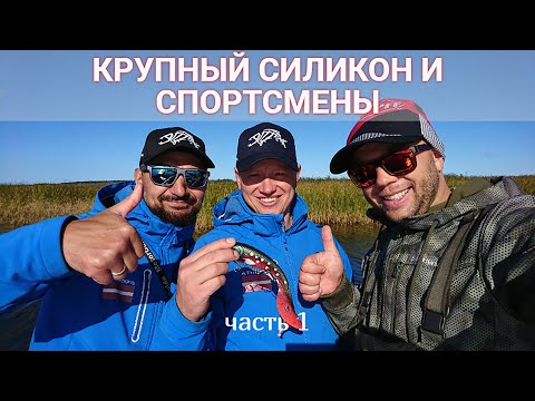 Видео: Щука,крупный СИЛИКОН и спорстмены! ч.1