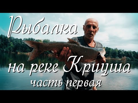 Видео: Рыбалка на реке Криуша часть первая