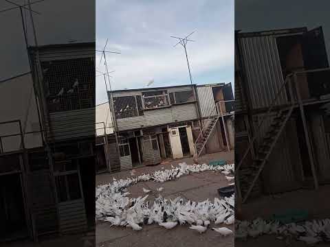 Видео: Гургеновский аэродром !!!